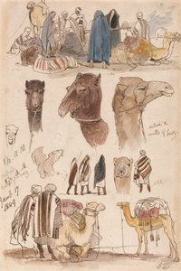 スエズの城壁の外、1849年1月17日、午前8時から30日（54） 作： Edward Lear